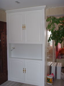 金领整体衣柜产品 产品图片 加盟店怎么样